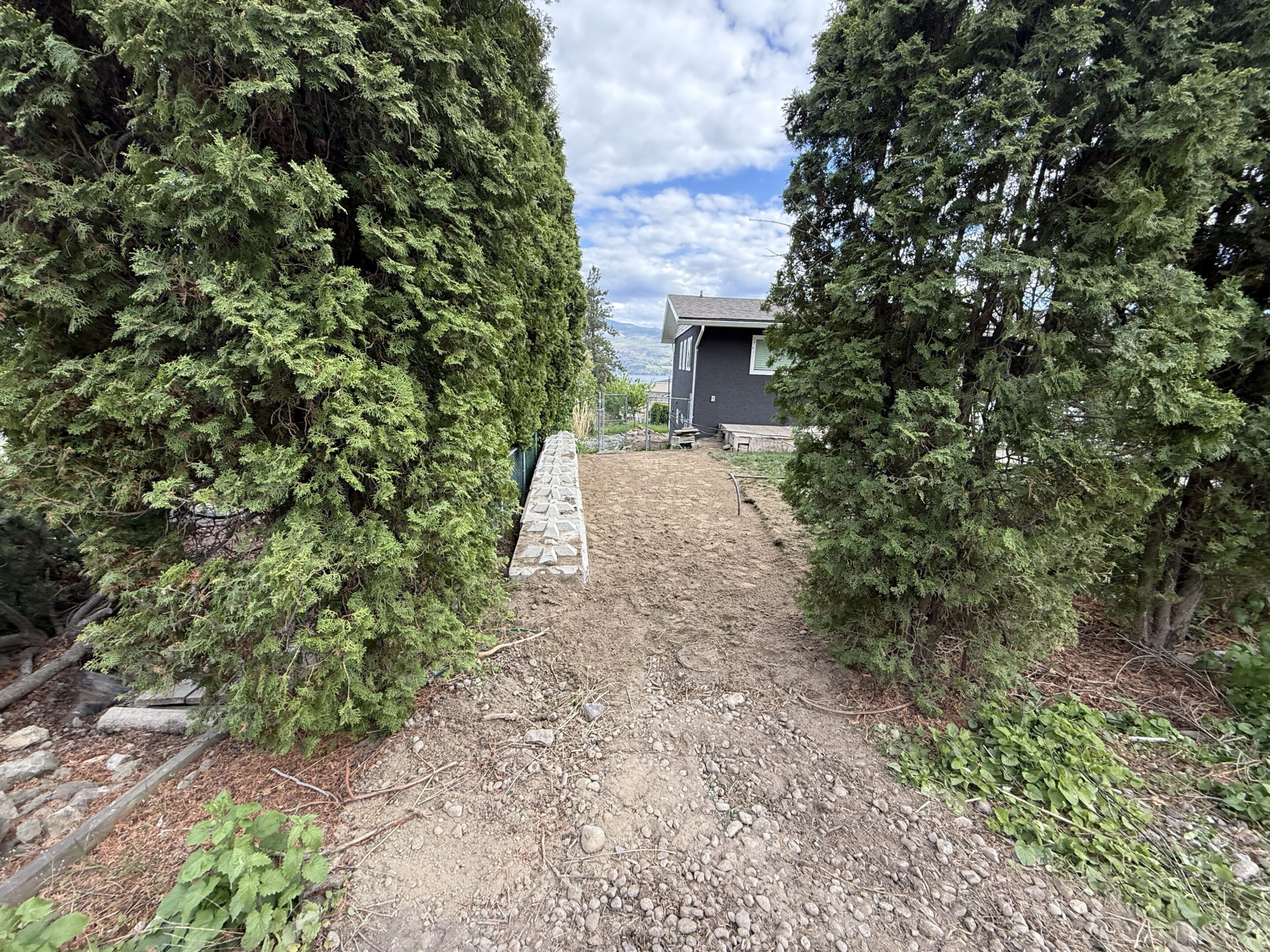 Pathway between trees leading to a house.